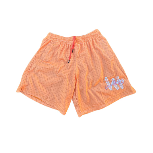 PEACH MESH SHORTS