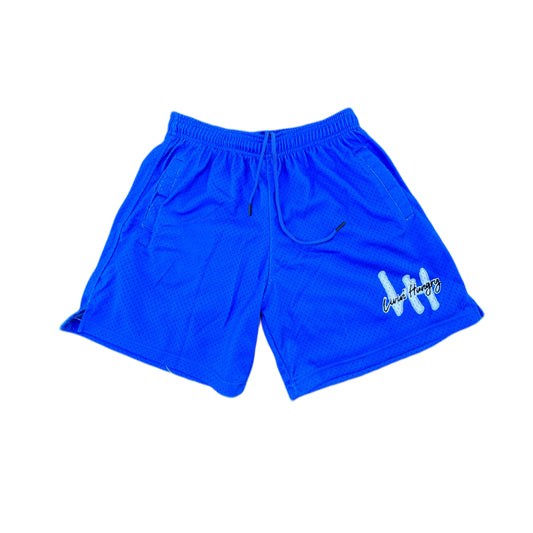 BLUE MESH SHORTS