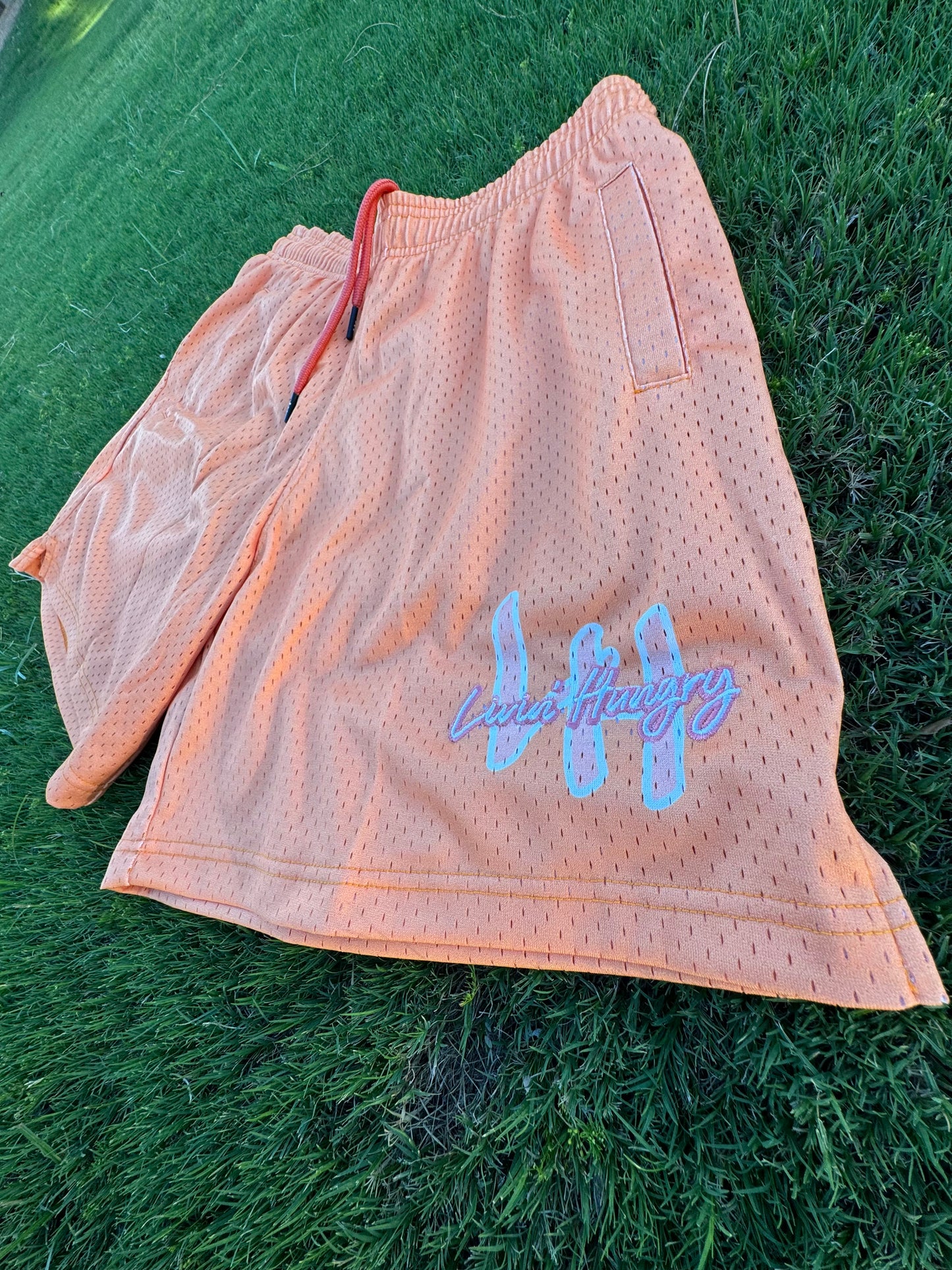 PEACH MESH SHORTS